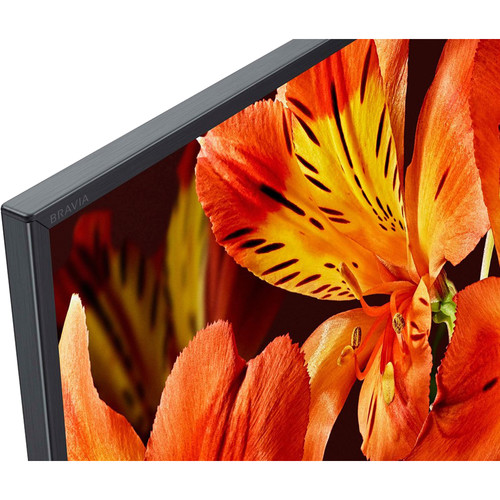 sony_fw_55bz35f_55_bravia_4k (4)